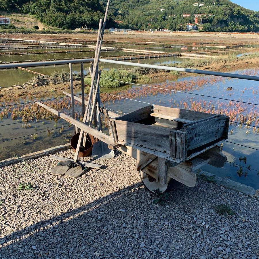 Sirena Floating House Portoroz别墅 外观 照片